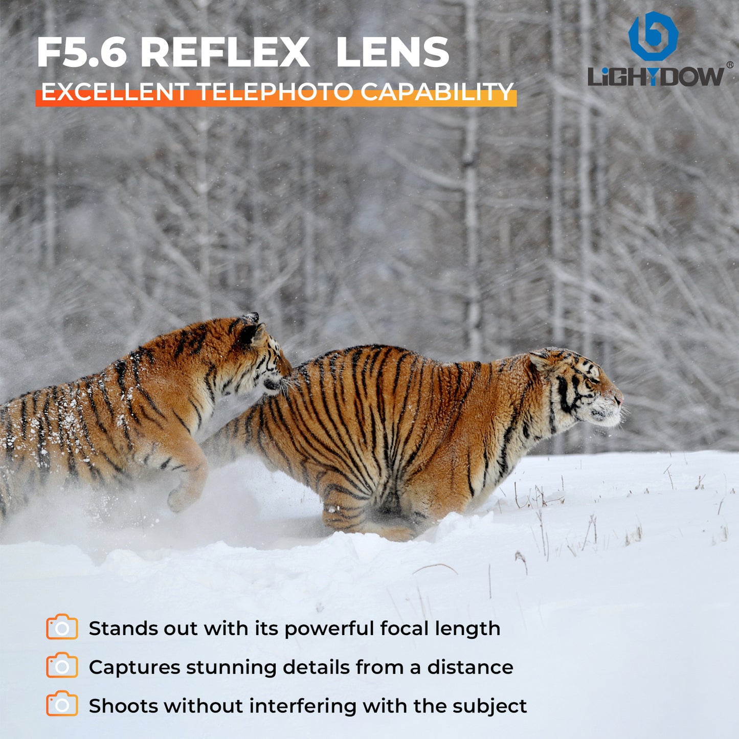 Lightdow EF 240mm F5.6 Reflex Lens - Telephoto Manual DSLR Cameras Lens