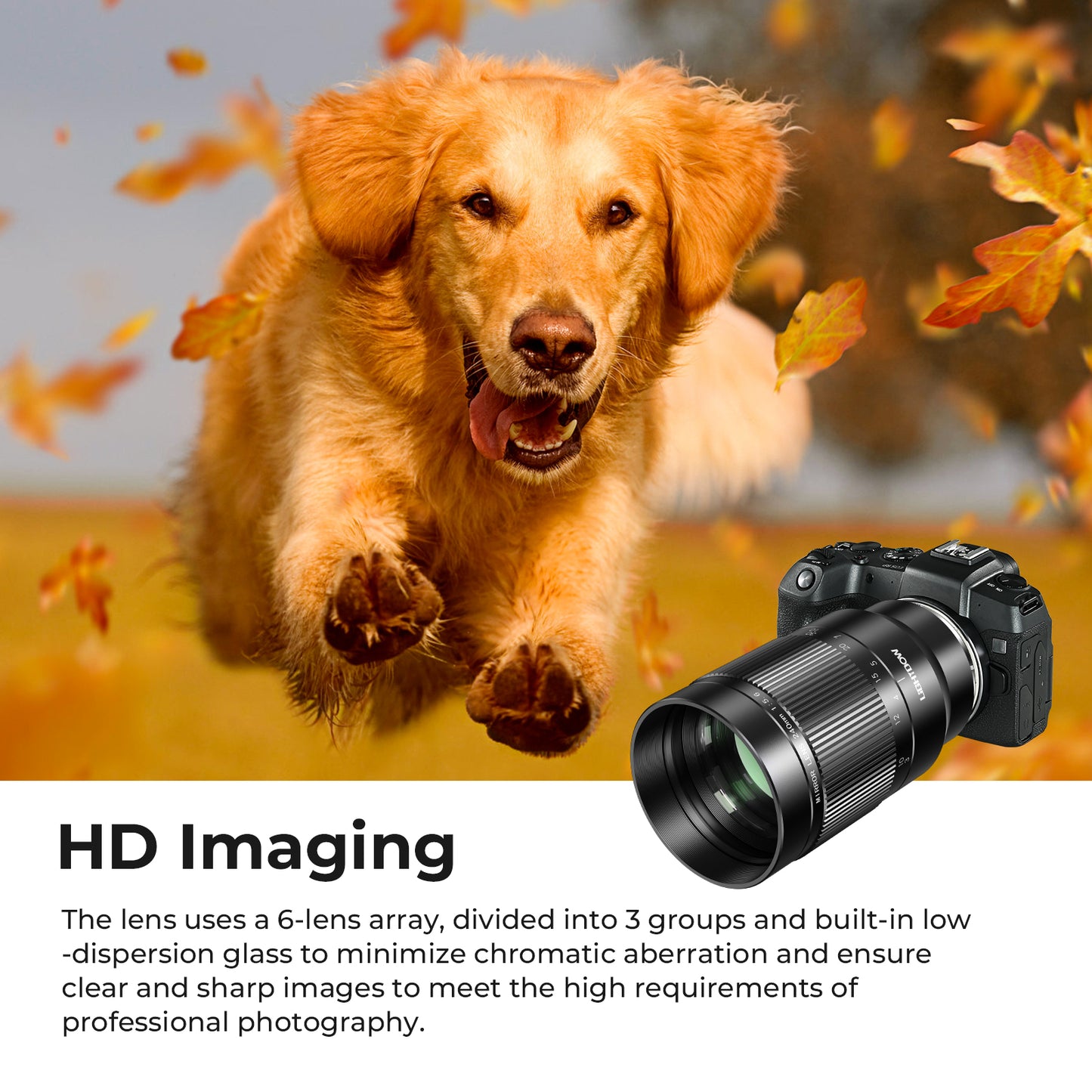 Lightdow EF 240mm F5.6 Reflex Lens - Telephoto Manual DSLR Cameras Lens